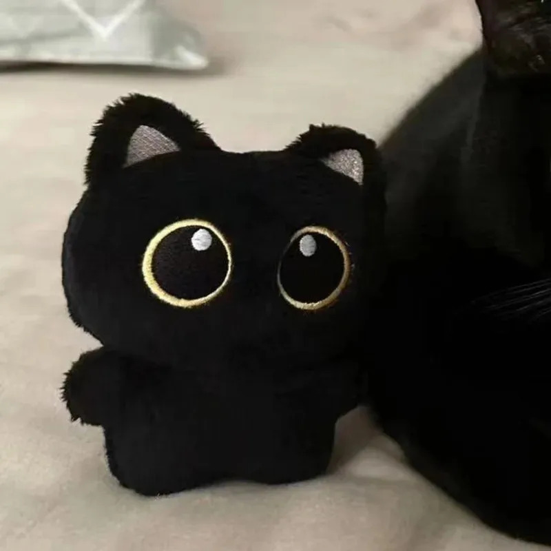 Photography Rules - Lindo peluche de un gato negro,